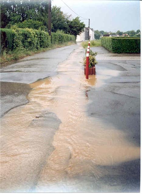 Regenfaelle 8.jpg - Rhönweg (ehemaliger Salinger Weg) im alten Verlauf - Blickrichtung: Norden